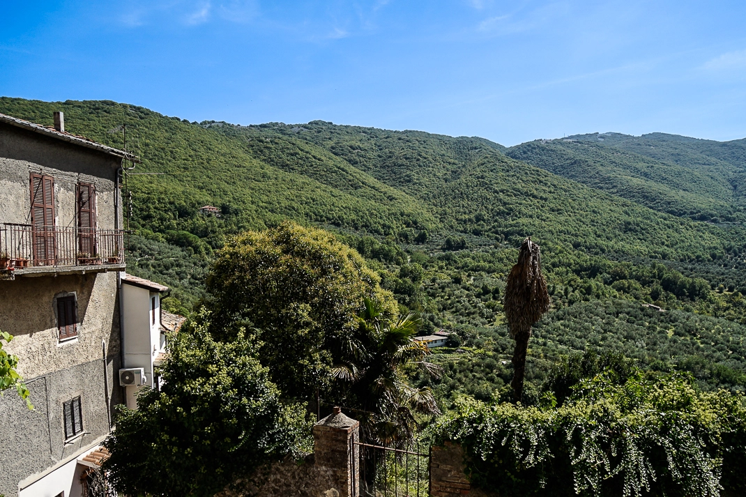 Arsoli-panorama-bosco