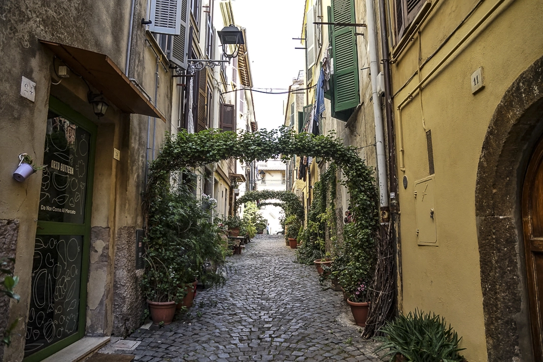 Via di un paese laziale addobbata con piante ornamentali